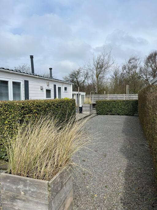 Chalet + Tiny House Nabij Strand Petten Exteriör bild