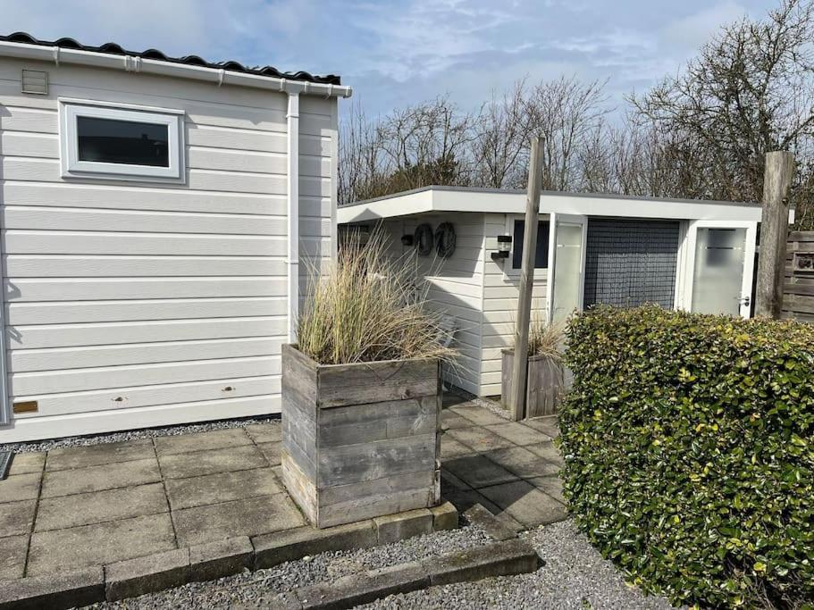 Chalet + Tiny House Nabij Strand Petten Exteriör bild