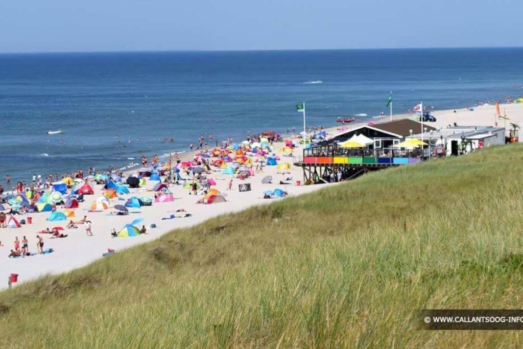 Chalet + Tiny House Nabij Strand Petten Exteriör bild
